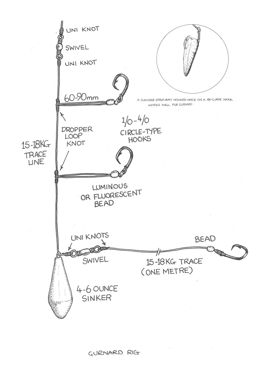 How to catch Gurnard The Fishing site